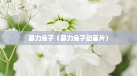 暴力兔子（暴力兔子动画片）