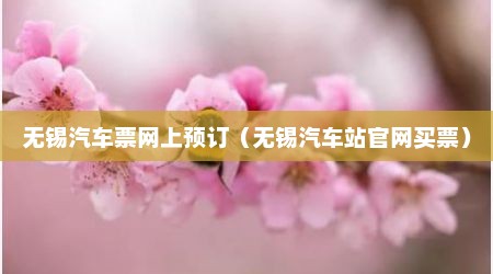 无锡汽车票网上预订（无锡汽车站官网买票）