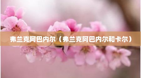 弗兰克阿巴内尔（弗兰克阿巴内尔和卡尔）