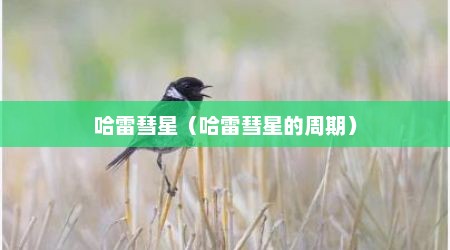 哈雷彗星（哈雷彗星的周期）