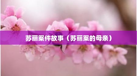 苏丽案件故事（苏丽案的母亲）