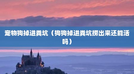 宠物狗掉进粪坑（狗狗掉进粪坑捞出来还能活吗）