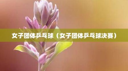 女子团体乒乓球（女子团体乒乓球决赛）