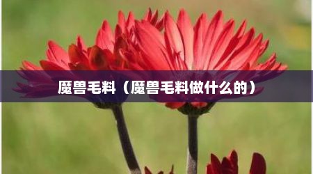 魔兽毛料（魔兽毛料做什么的）