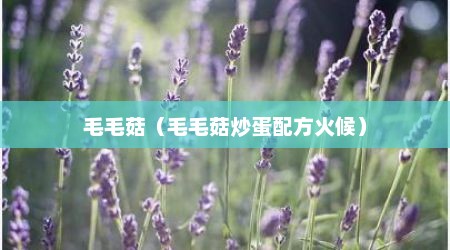 毛毛菇（毛毛菇炒蛋配方火候）