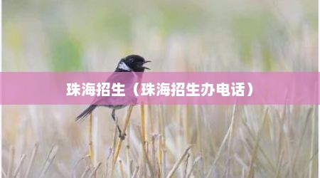 珠海招生（珠海招生办电话）