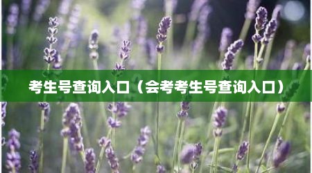 考生号查询入口（会考考生号查询入口）