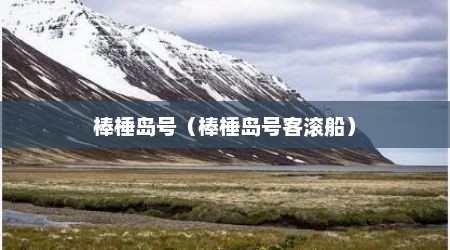 棒棰岛号（棒棰岛号客滚船）