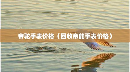 帝驼手表价格（回收帝舵手表价格）