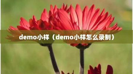 demo小样（demo小样怎么录制）