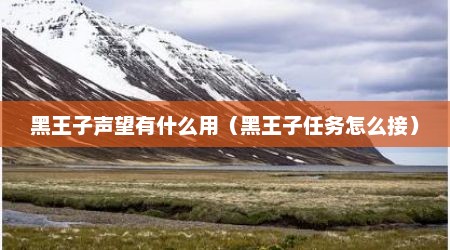 黑王子声望有什么用（黑王子任务怎么接）