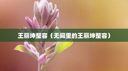 王丽坤整容（无间里的王丽坤整容）