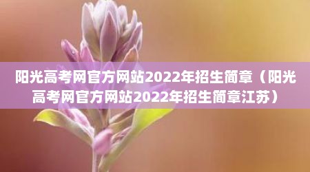 阳光高考网官方网站2022年招生简章（阳光高考网官方网站2022年招生简章江苏）