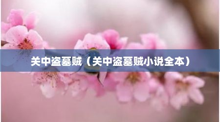 关中盗墓贼（关中盗墓贼小说全本）