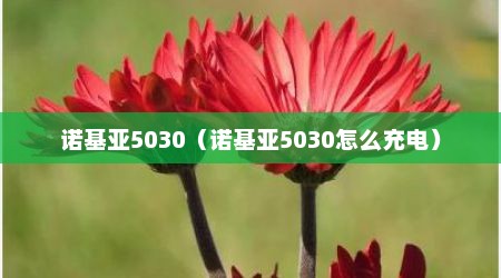 诺基亚5030（诺基亚5030怎么充电）