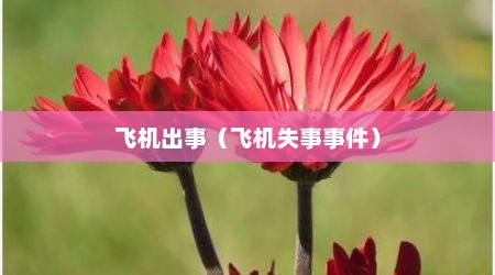 飞机出事（飞机失事事件）