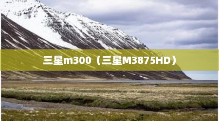 三星m300（三星M3875HD）