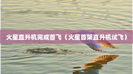火星直升机完成首飞（火星首架直升机试飞）