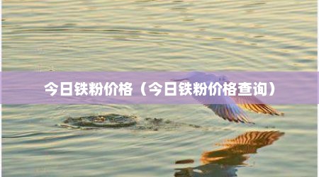 今日铁粉价格（今日铁粉价格查询）