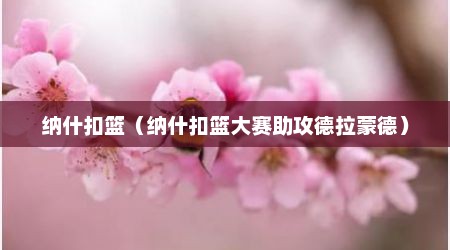 纳什扣篮（纳什扣篮大赛助攻德拉蒙德）