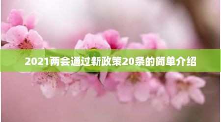2021两会通过新政策20条的简单介绍