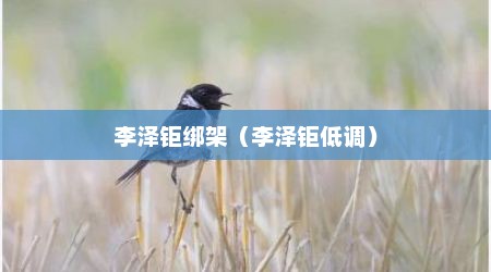 李泽钜绑架（李泽钜低调）