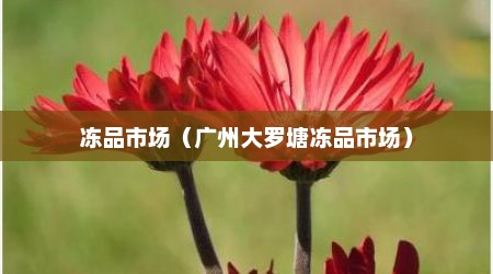 冻品市场（广州大罗塘冻品市场）