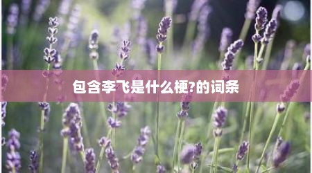 包含李飞是什么梗?的词条