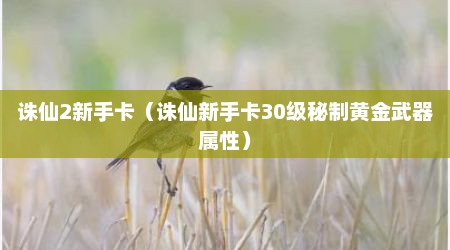 诛仙2新手卡（诛仙新手卡30级秘制黄金武器属性）