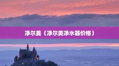 净尔美（净尔美净水器价格）