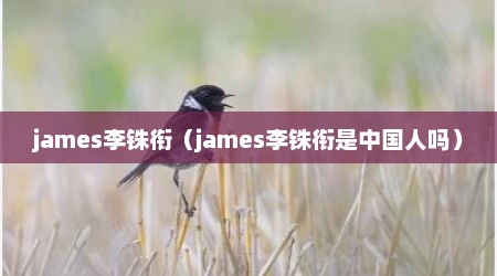 james李铢衔（james李铢衔是中国人吗）