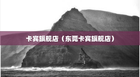 卡宾旗舰店（东莞卡宾旗舰店）