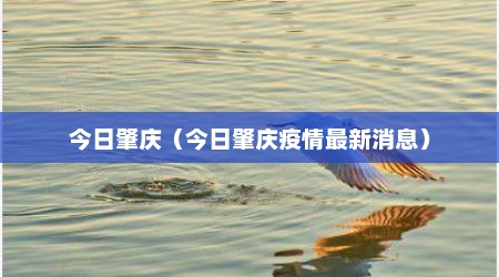今日肇庆（今日肇庆疫情最新消息）