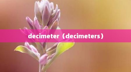 decimeter（decimeters）