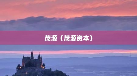 茂源（茂源资本）