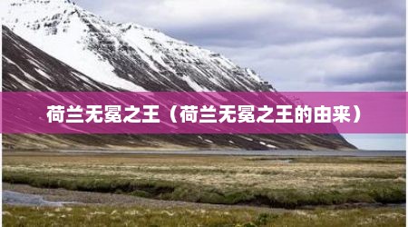 荷兰无冕之王（荷兰无冕之王的由来）