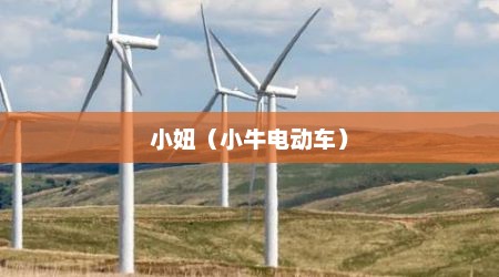 小妞（小牛电动车）