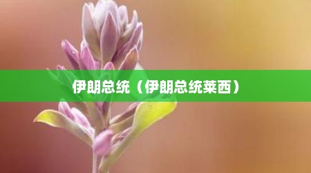 伊朗总统（伊朗总统莱西）