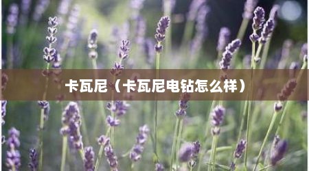 卡瓦尼（卡瓦尼电钻怎么样）