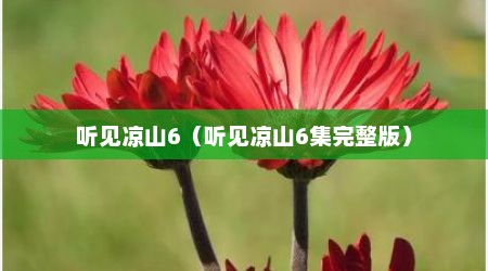 听见凉山6（听见凉山6集完整版）