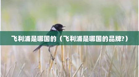 飞利浦是哪国的（飞利浦是哪国的品牌?）