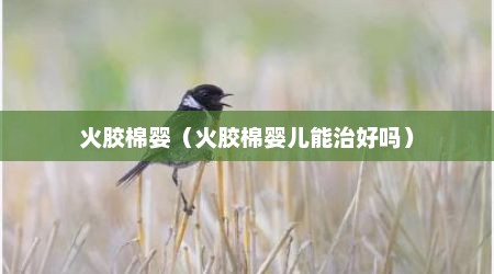 火胶棉婴（火胶棉婴儿能治好吗）
