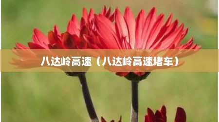 八达岭高速（八达岭高速堵车）