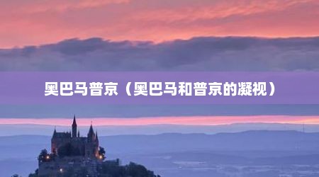 奥巴马普京（奥巴马和普京的凝视）