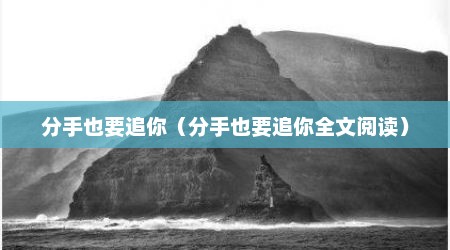 分手也要追你（分手也要追你全文阅读）