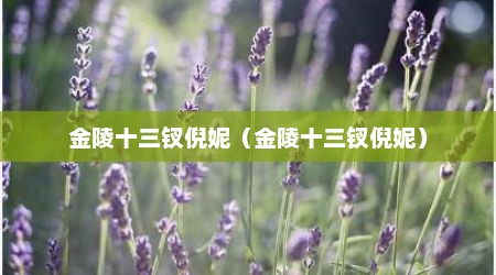 金陵十三钗倪妮（金陵十三钗倪妮）