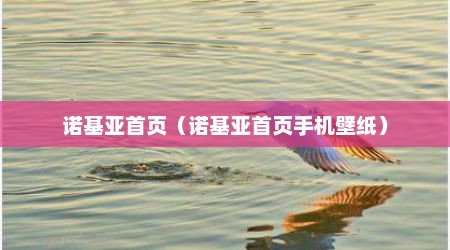 诺基亚首页（诺基亚首页手机壁纸）