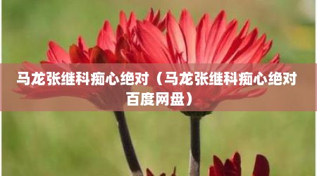 马龙张继科痴心绝对（马龙张继科痴心绝对 百度网盘）