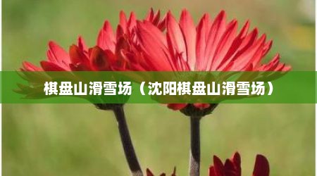 棋盘山滑雪场（沈阳棋盘山滑雪场）