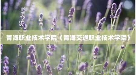 青海职业技术学院（青海交通职业技术学院）